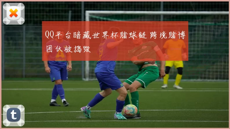 QQ平台暗藏世界杯赌球链 跨境赌博团伙被捣毁