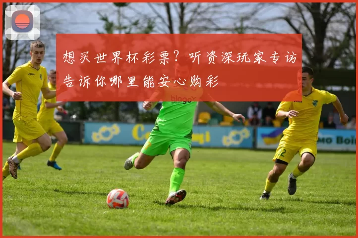 想买世界杯彩票?听资深玩家专访告诉你哪里能安心购彩