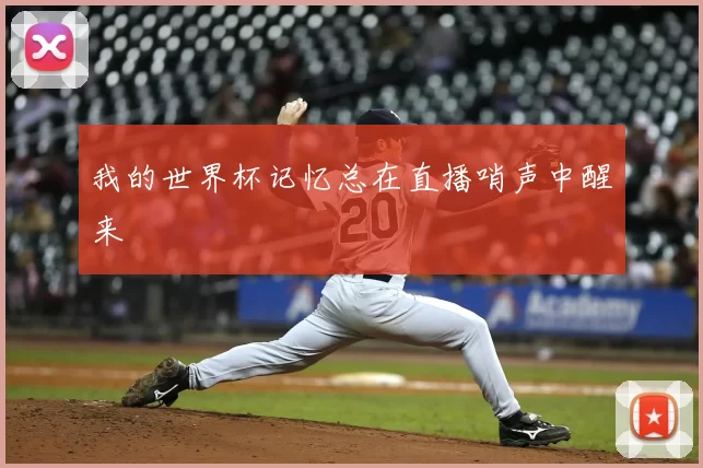 我的世界杯记忆总在直播哨声中醒来