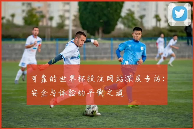 可靠的世界杯投注网站深度专访:安全与体验的平衡之道