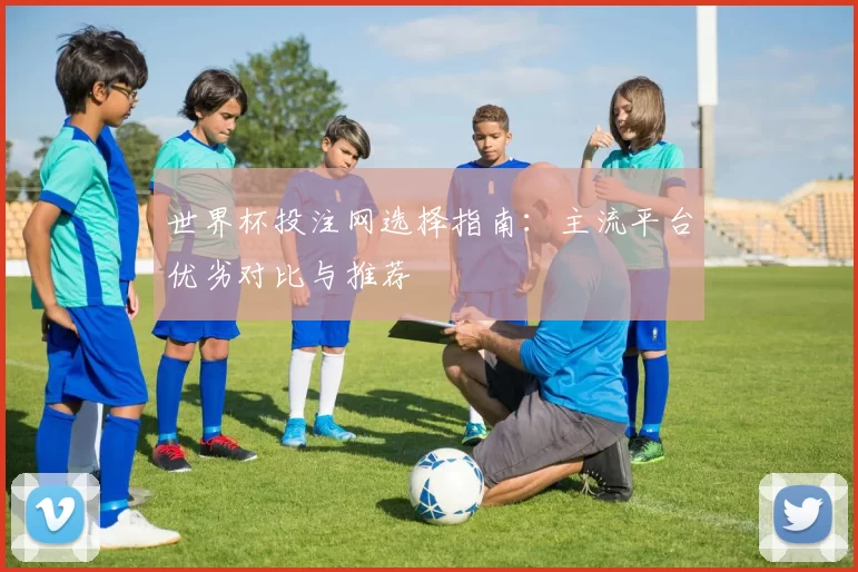 世界杯投注网选择指南：主流平台优劣对比与推荐