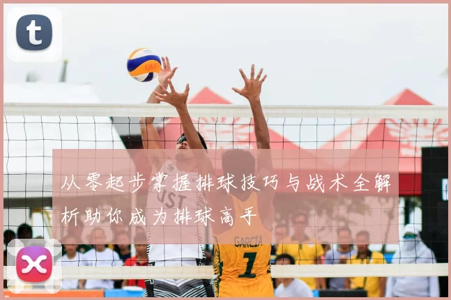 从零起步掌握排球技巧与战术全解析助你成为排球高手