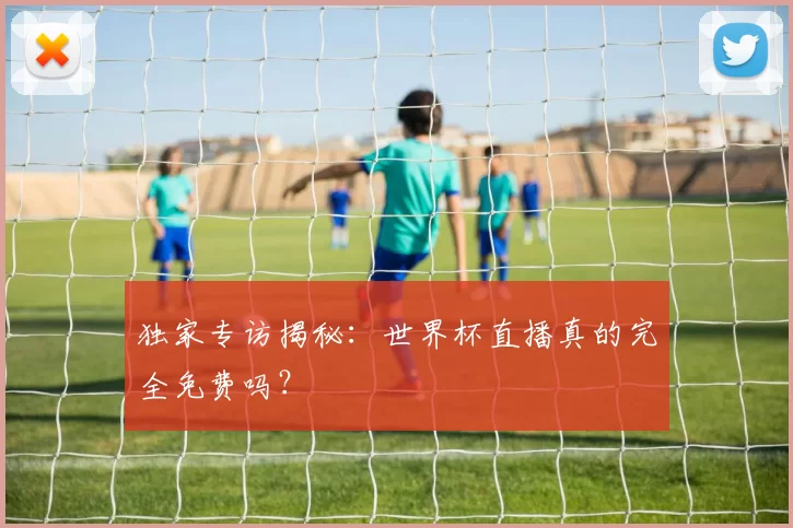 独家专访揭秘：世界杯直播真的完全免费吗？