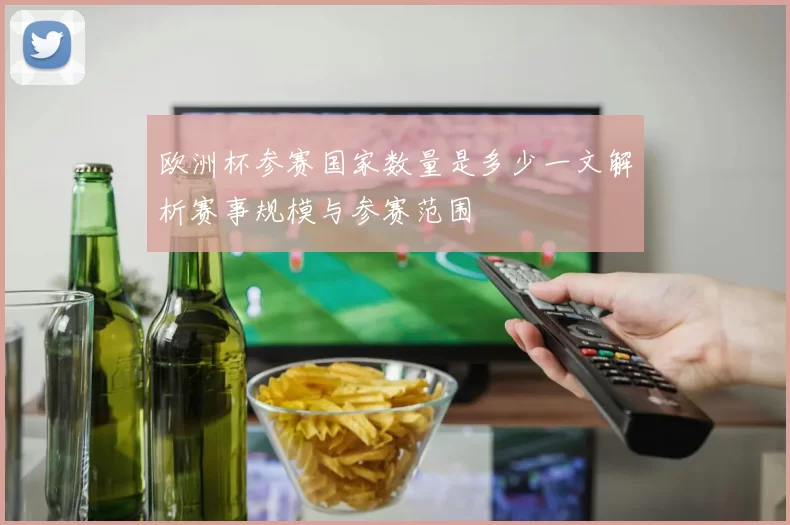 欧洲杯参赛国家数量是多少一文解析赛事规模与参赛范围