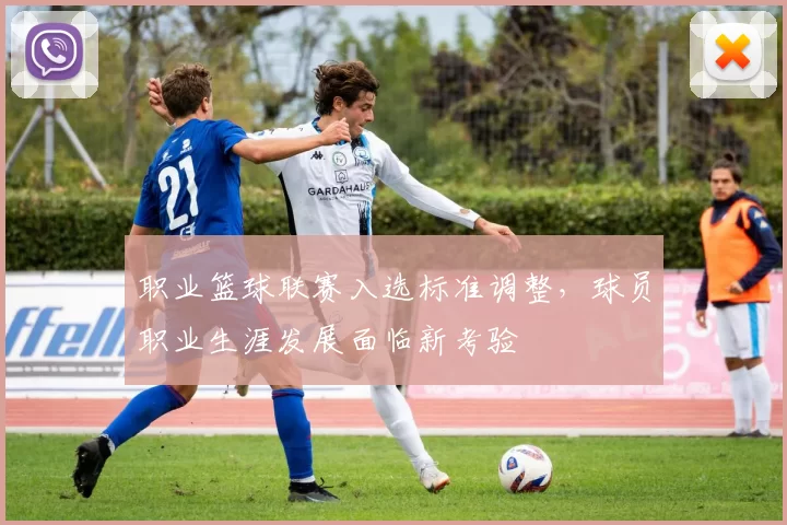 职业篮球联赛入选标准调整，球员职业生涯发展面临新考验