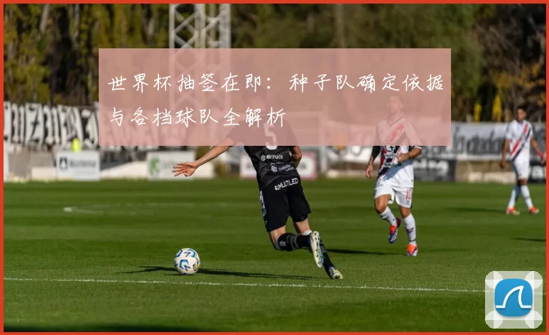 世界杯抽签在即:种子队确定依据与各档球队全解析