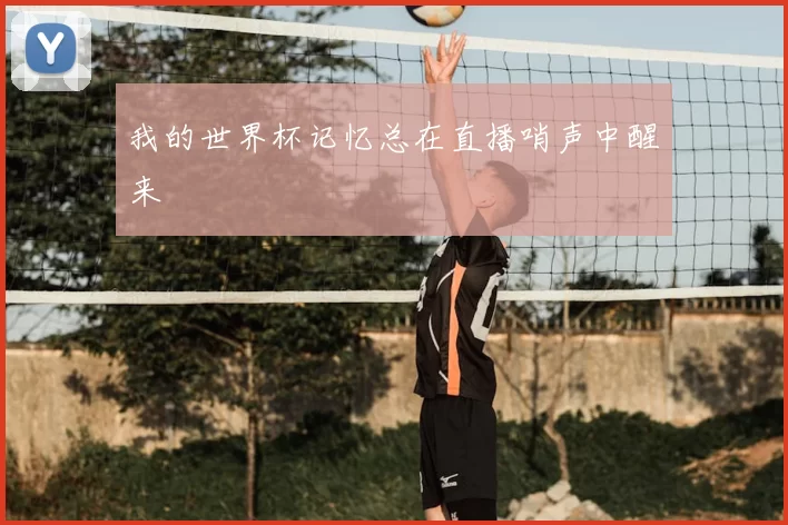 我的世界杯记忆总在直播哨声中醒来