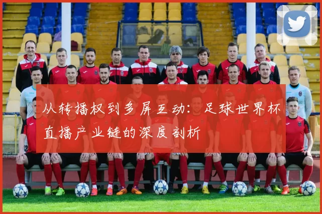 从转播权到多屏互动：足球世界杯直播产业链的深度剖析