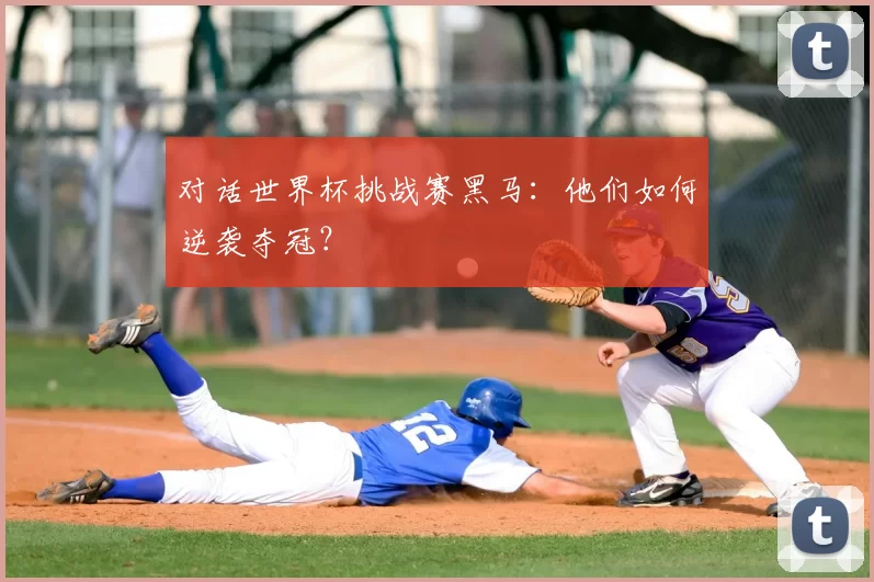 对话世界杯挑战赛黑马:他们如何逆袭夺冠?