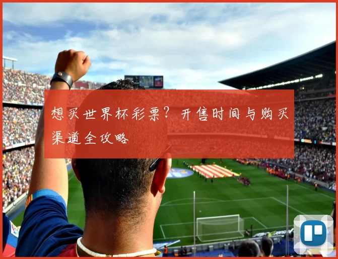 想买世界杯彩票？开售时间与购买渠道全攻略