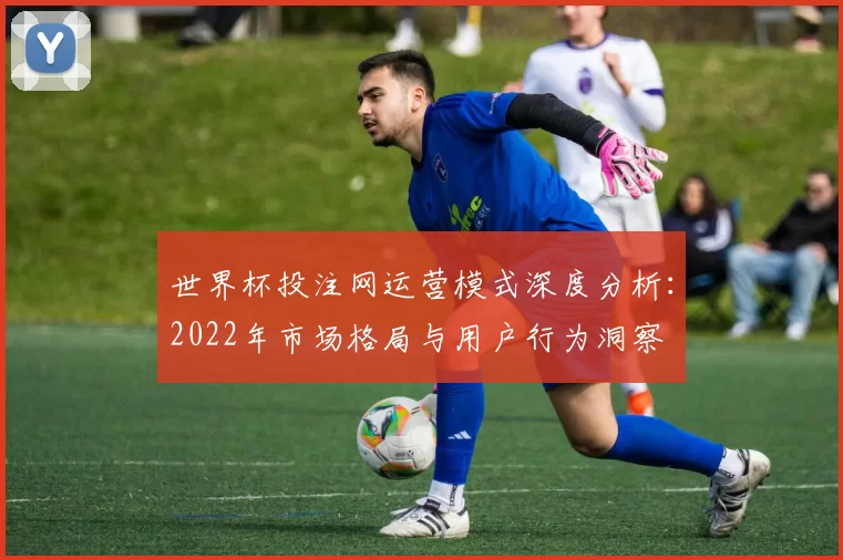 世界杯投注网运营模式深度分析：2022年市场格局与用户行为洞察