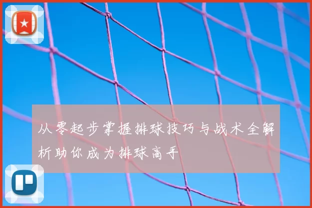 从零起步掌握排球技巧与战术全解析助你成为排球高手