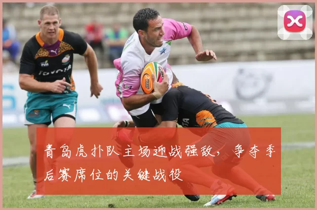青岛虎扑队主场迎战强敌,争夺季后赛席位的关键战役